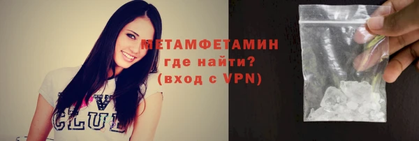 прущие грибы Пересвет