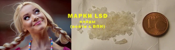 мяу мяу мука Пестово