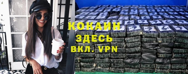 прущие грибы Пересвет