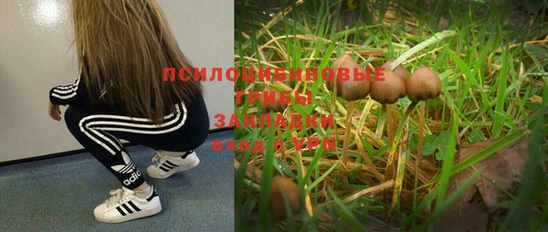 прущие крисы Абаза