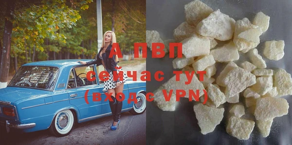 прущие грибы Пересвет