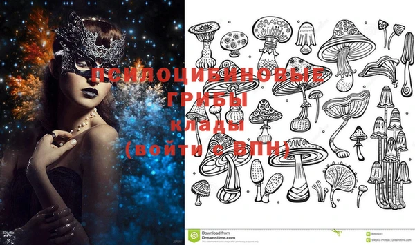 таблы Осинники