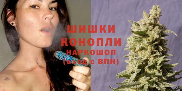 прущие грибы Пересвет