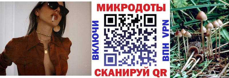 Псилоцибиновые грибы Psilocybe  сколько стоит  Белая Холуница 